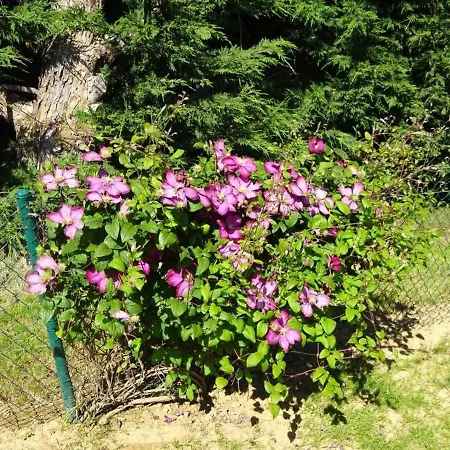 Cozy Pres Du Mans Avec Jardin, Terrasse, Proche Commodites Et Activites. - Fr-1-410-336 * Rouillon