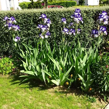 Cozy Pres Du Mans Avec Jardin, Terrasse, Proche Commodites Et Activites. - Fr-1-410-336 בית נופש