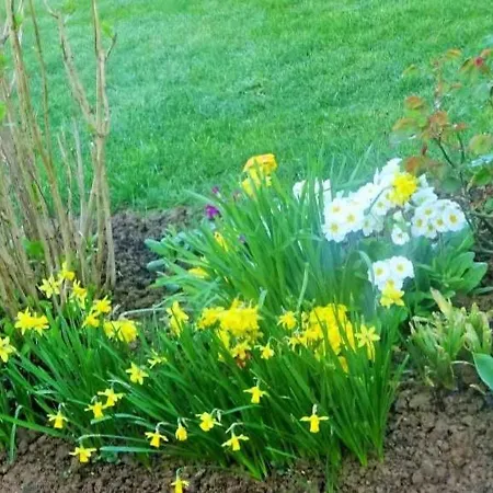 Cozy Pres Du Mans Avec Jardin, Terrasse, Proche Commodites Et Activites. - Fr-1-410-336 * Rouillon