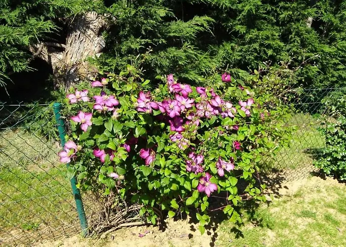 Cozy Pres Du Mans Avec Jardin, Terrasse, Proche Commodites Et Activites. - Fr-1-410-336 * Rouillon