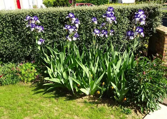 Cozy Pres Du Mans Avec Jardin, Terrasse, Proche Commodites Et Activites. - Fr-1-410-336 Nyaraló