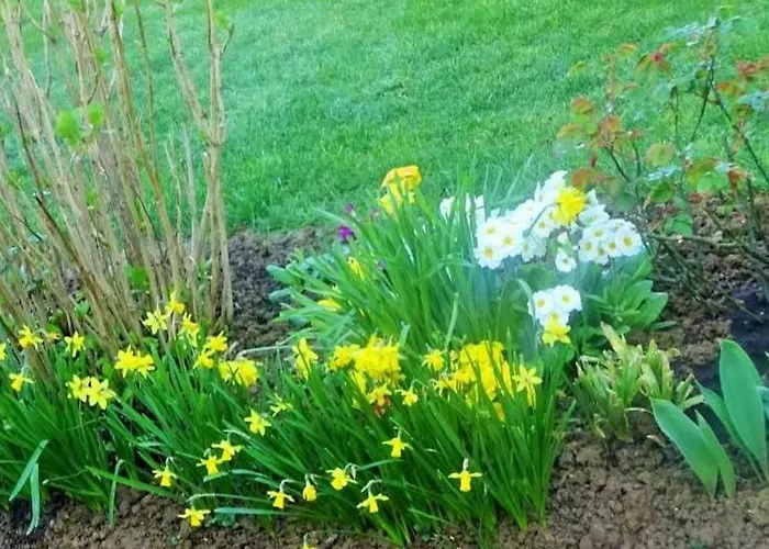 Cozy Pres Du Mans Avec Jardin, Terrasse, Proche Commodites Et Activites. - Fr-1-410-336 * Rouillon