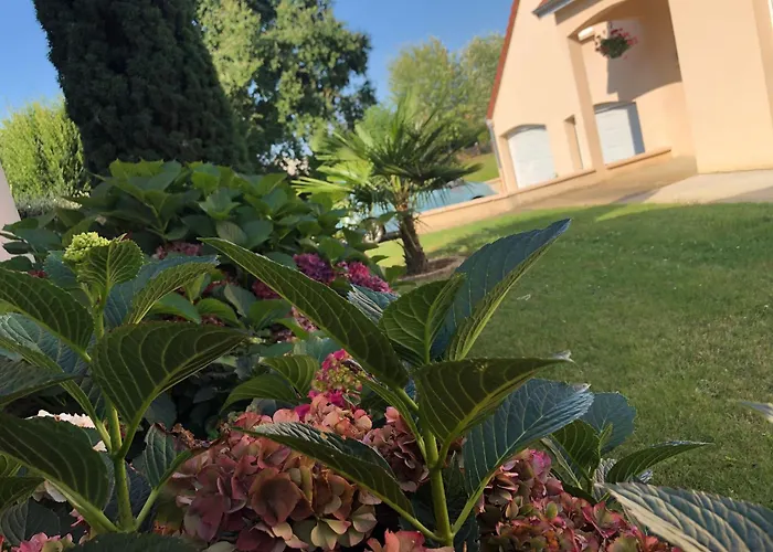 Cozy Pres Du Mans Avec Jardin, Terrasse, Proche Commodites Et Activites. - Fr-1-410-336 *